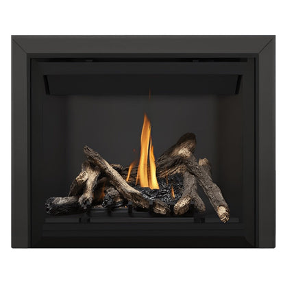 Napoleon Altitude 42" Direct Vent Gas Fireplace | A42