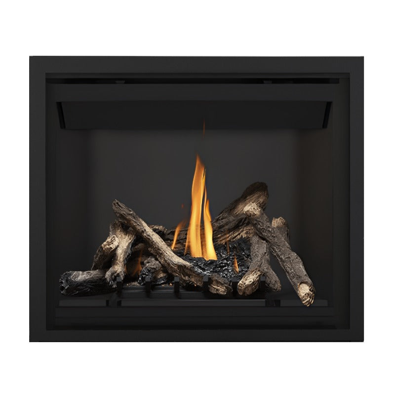 Napoleon Altitude 42" Direct Vent Gas Fireplace | A42