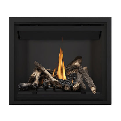 Napoleon Altitude 42" Direct Vent Gas Fireplace | A42