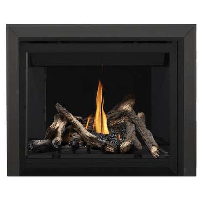 Napoleon Altitude 42" Direct Vent Gas Fireplace | A42