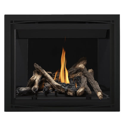 Napoleon Altitude 42" Direct Vent Gas Fireplace | A42