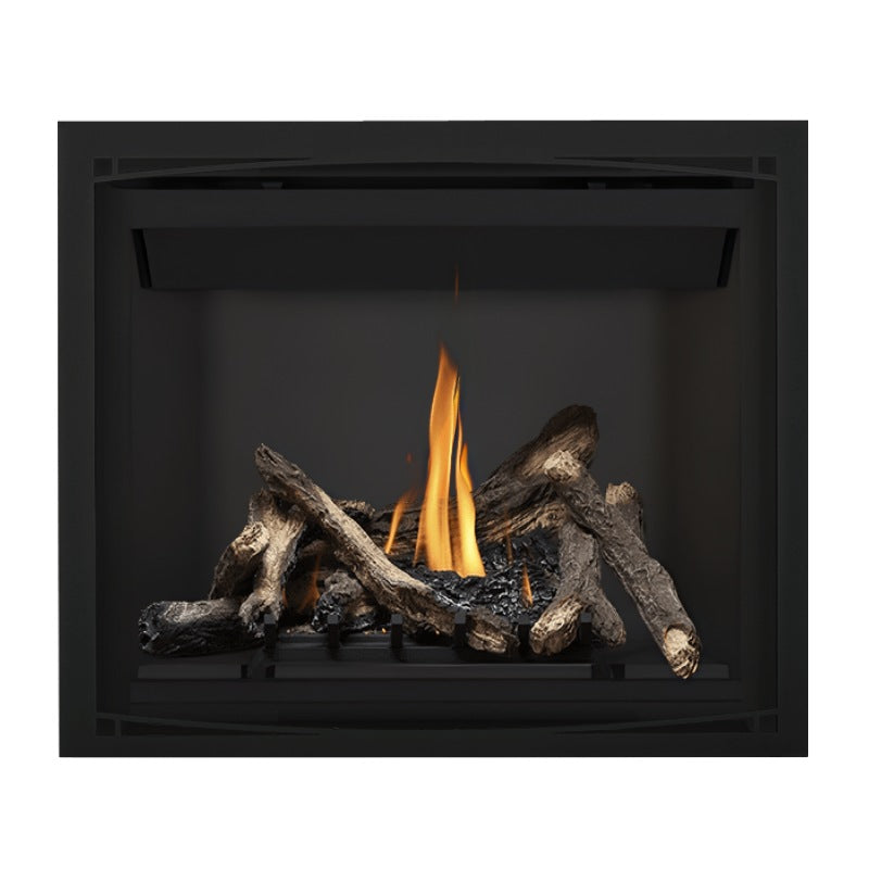 Napoleon Altitude 42" Direct Vent Gas Fireplace | A42