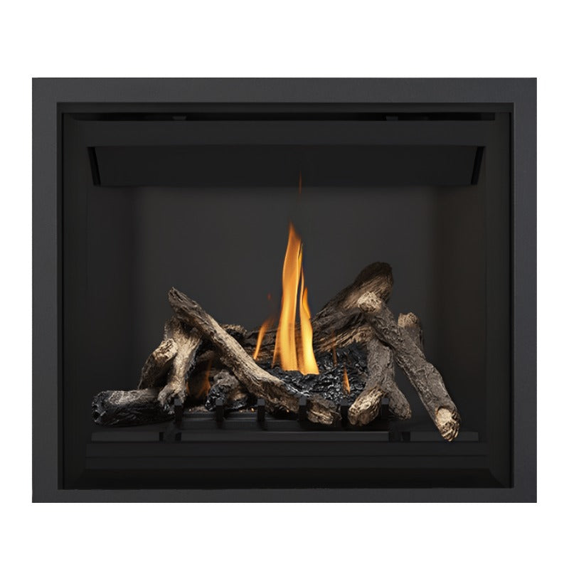 Napoleon Altitude 42" Direct Vent Gas Fireplace | A42