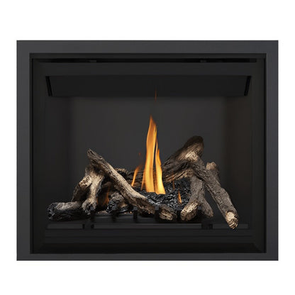 Napoleon Altitude 42" Direct Vent Gas Fireplace | A42