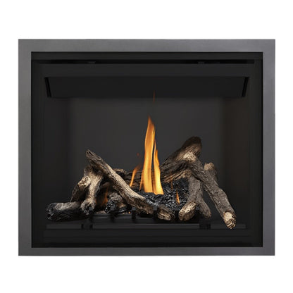 Napoleon Altitude 42" Direct Vent Gas Fireplace | A42
