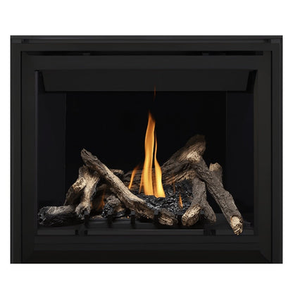 Napoleon Altitude 42" Direct Vent Gas Fireplace | A42