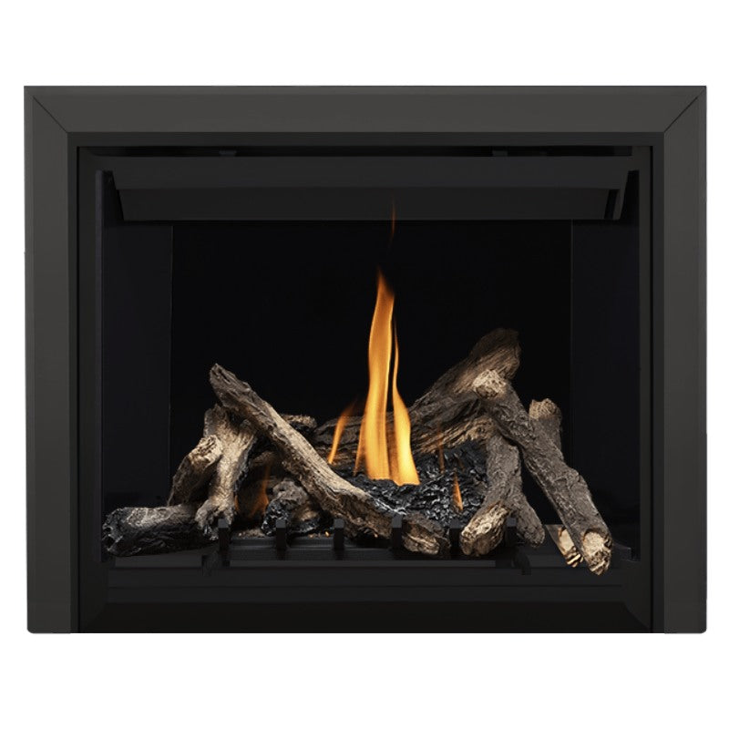Napoleon Altitude 42" Direct Vent Gas Fireplace | A42