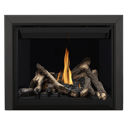 Napoleon Altitude 42" Direct Vent Gas Fireplace | A42