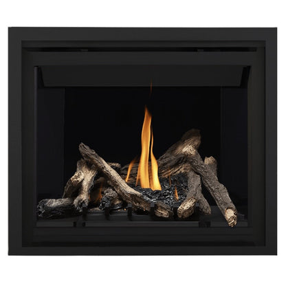 Napoleon Altitude 42" Direct Vent Gas Fireplace | A42