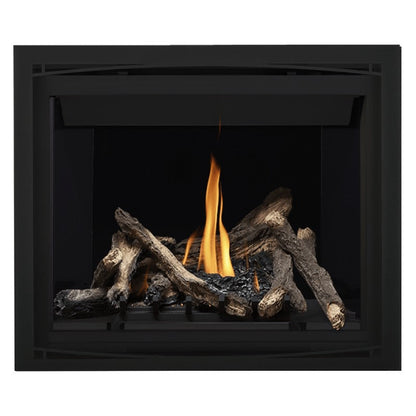 Napoleon Altitude 42" Direct Vent Gas Fireplace | A42
