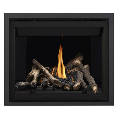 Napoleon Altitude 42" Direct Vent Gas Fireplace | A42