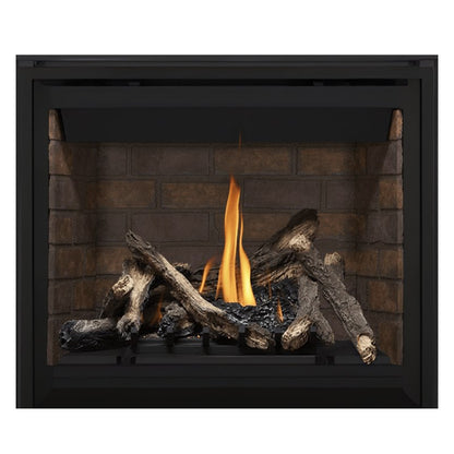 Napoleon Altitude 42" Direct Vent Gas Fireplace | A42