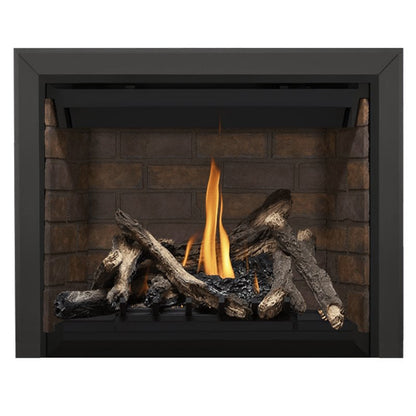 Napoleon Altitude 42" Direct Vent Gas Fireplace | A42