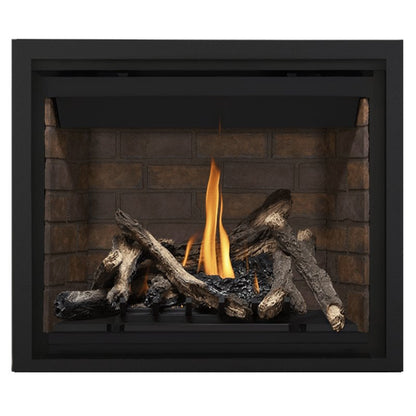 Napoleon Altitude 42" Direct Vent Gas Fireplace | A42