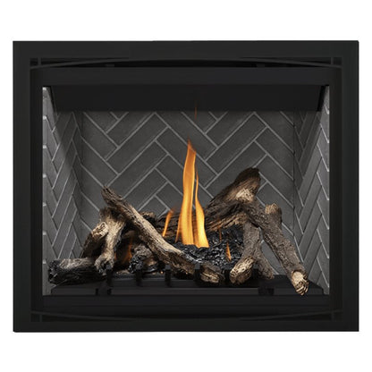 Napoleon Altitude 42" Direct Vent Gas Fireplace | A42