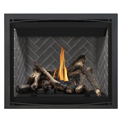Napoleon Altitude 42" Direct Vent Gas Fireplace | A42