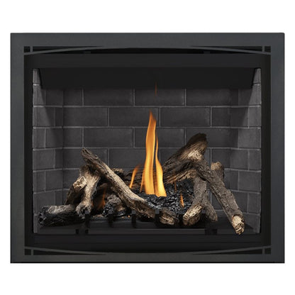 Napoleon Altitude 42" Direct Vent Gas Fireplace | A42