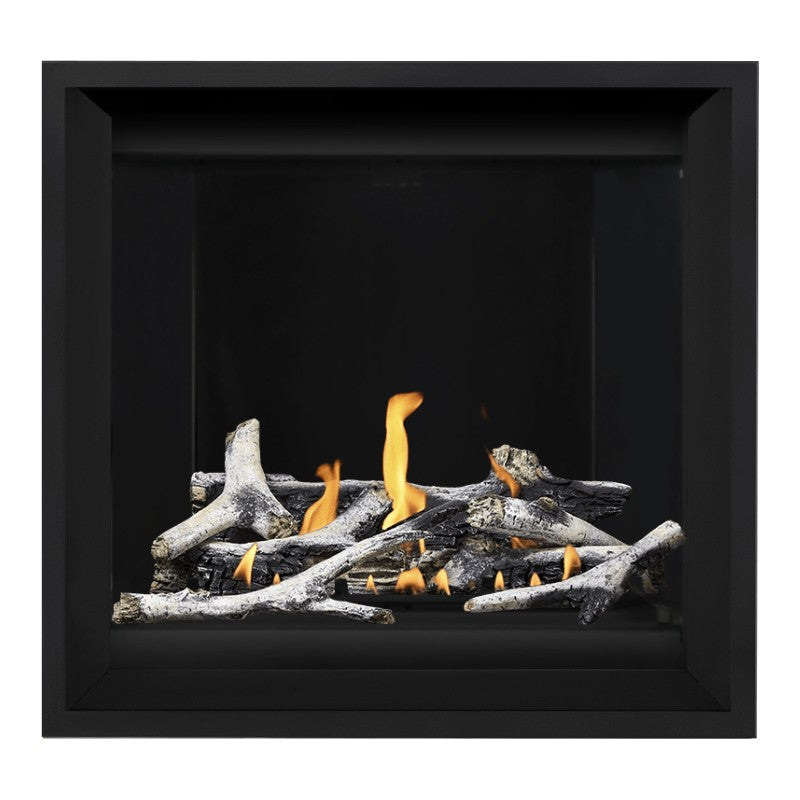 Napoleon Altitude X 36" Direct Vent Gas Fireplace | AX36-1