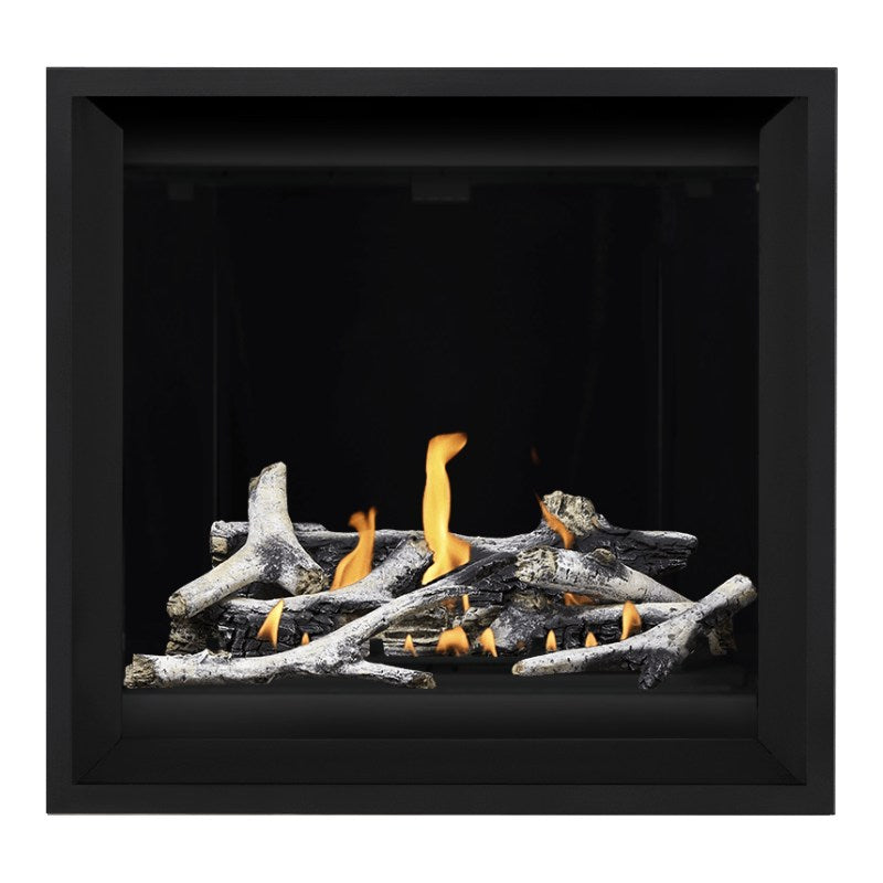 Napoleon Altitude X 36" Direct Vent Gas Fireplace | AX36-1
