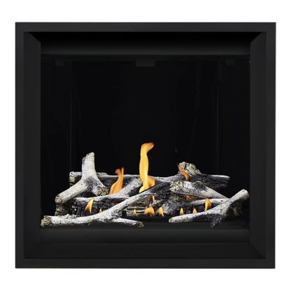 Napoleon Altitude X 36" Direct Vent Gas Fireplace | AX36-1