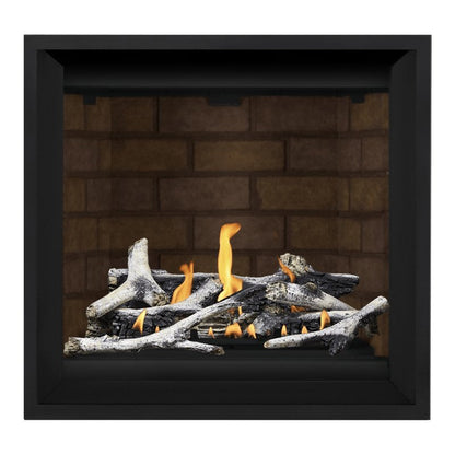 Napoleon Altitude X 36" Direct Vent Gas Fireplace | AX36-1