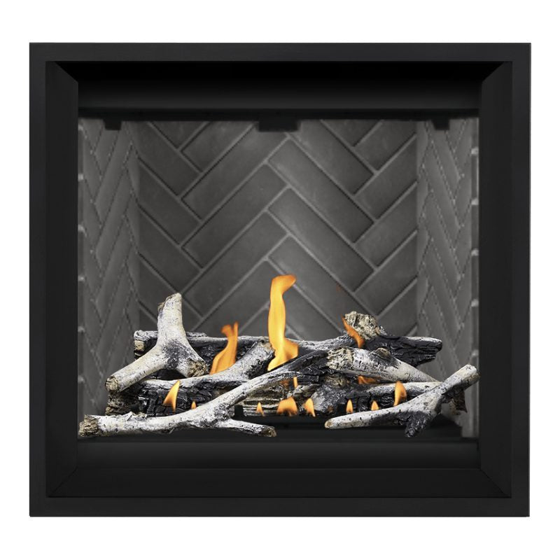 Napoleon Altitude X 36" Direct Vent Gas Fireplace | AX36-1