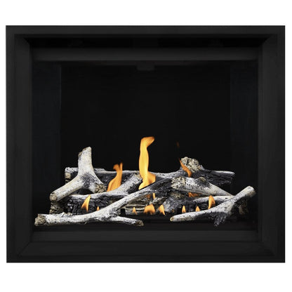 Napoleon Altitude X 42" Direct Vent Gas Fireplace | AX42-1
