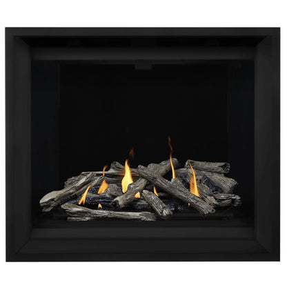 Napoleon Altitude X 42" Direct Vent Gas Fireplace | AX42-1
