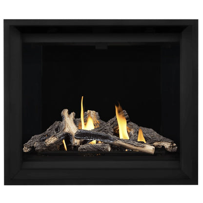 Napoleon Altitude X 42" Direct Vent Gas Fireplace | AX42-1
