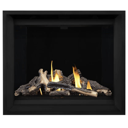 Napoleon Altitude X 42" Direct Vent Gas Fireplace | AX42-1