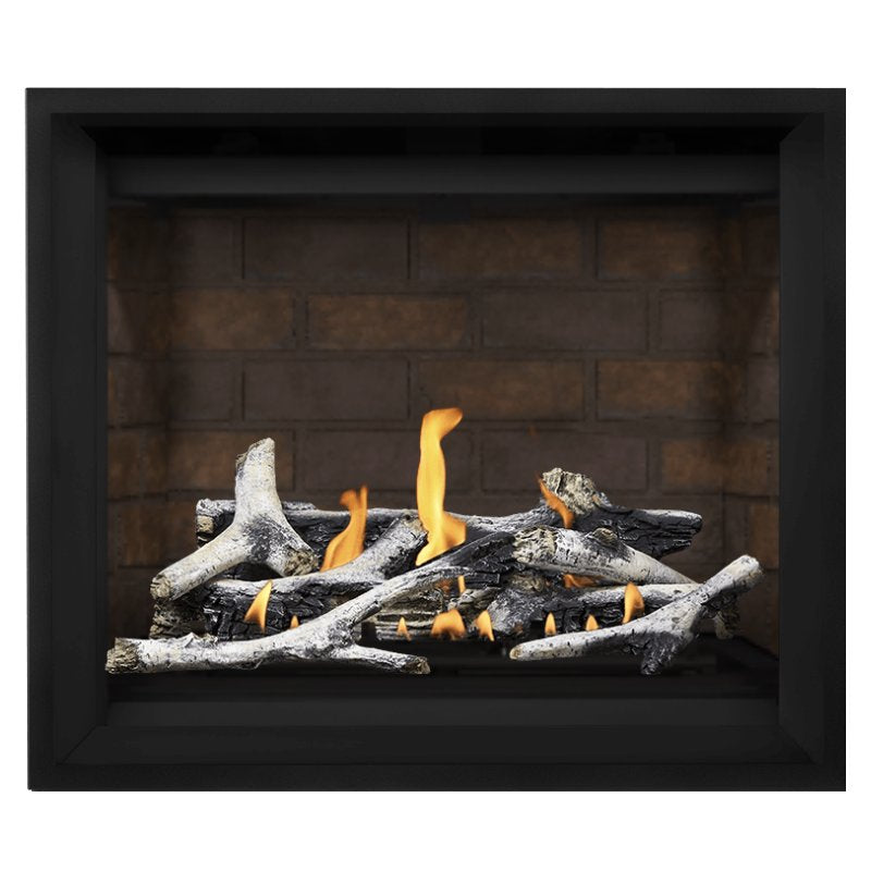 Napoleon Altitude X 42" Direct Vent Gas Fireplace | AX42-1