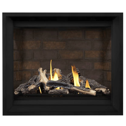 Napoleon Altitude X 42" Direct Vent Gas Fireplace | AX42-1