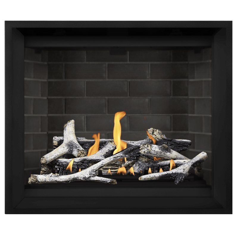 Napoleon Altitude X 42" Direct Vent Gas Fireplace | AX42-1