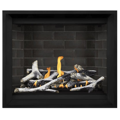 Napoleon Altitude X 42" Direct Vent Gas Fireplace | AX42-1