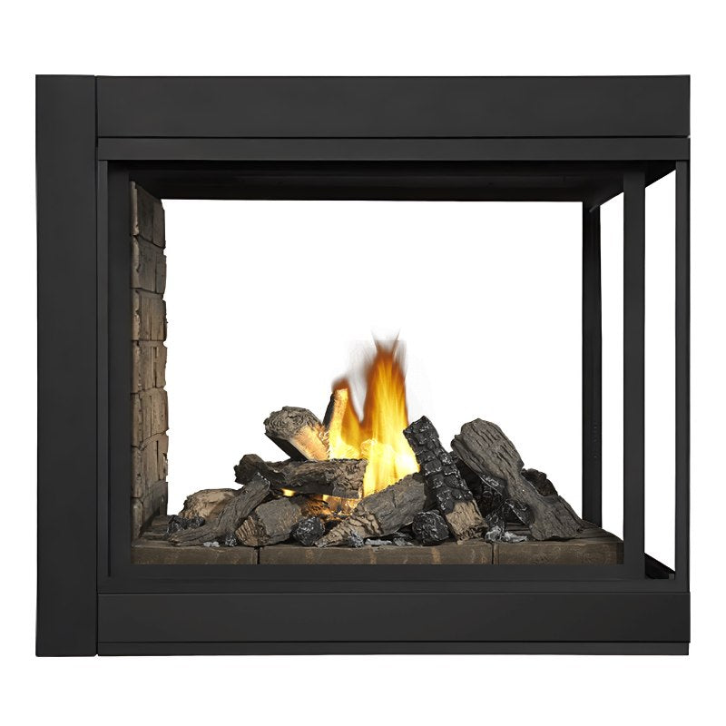 Napoleon Ascent Multi-Sided View/See Thru Direct Vent Gas Fireplace | BHD4