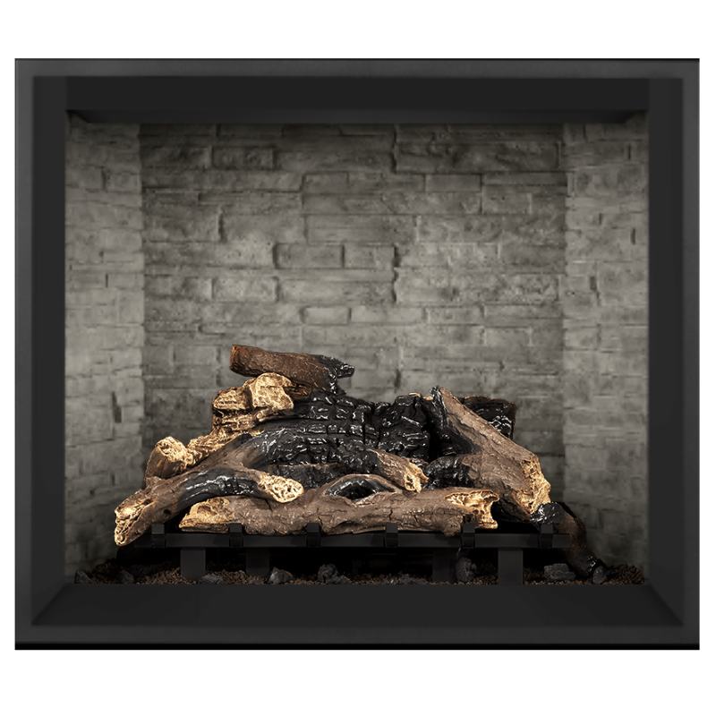 Napoleon Elevation 42-Inch Direct Vent Gas Fireplace | E42