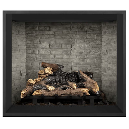 Napoleon Elevation 42-Inch Direct Vent Gas Fireplace | E42