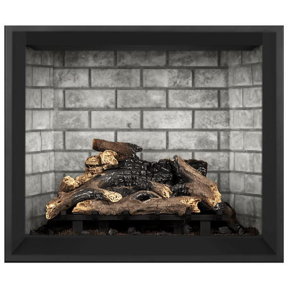 Napoleon Elevation 42-Inch Direct Vent Gas Fireplace | E42
