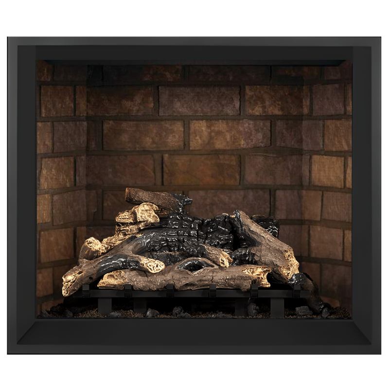 Napoleon Elevation 42-Inch Direct Vent Gas Fireplace | E42