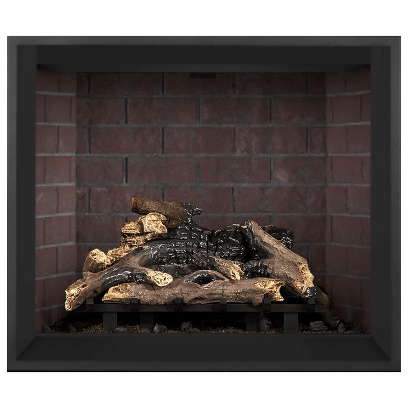Napoleon Elevation 42-Inch Direct Vent Gas Fireplace | E42