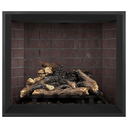 Napoleon Elevation 42-Inch Direct Vent Gas Fireplace | E42