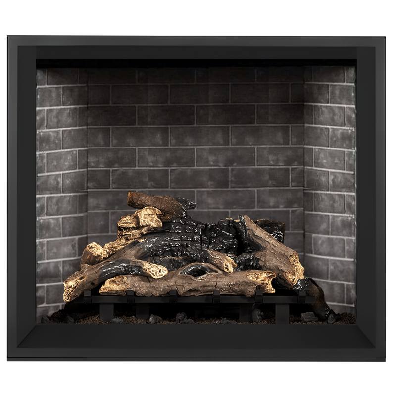 Napoleon Elevation 42-Inch Direct Vent Gas Fireplace | E42