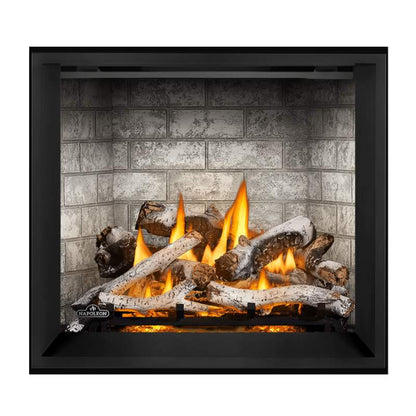 Napoleon Elevation X 36" Direct Vent Gas Fireplace | EX36