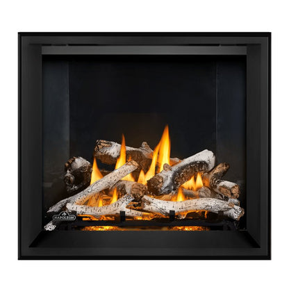 Napoleon Elevation X 36" Direct Vent Gas Fireplace | EX36