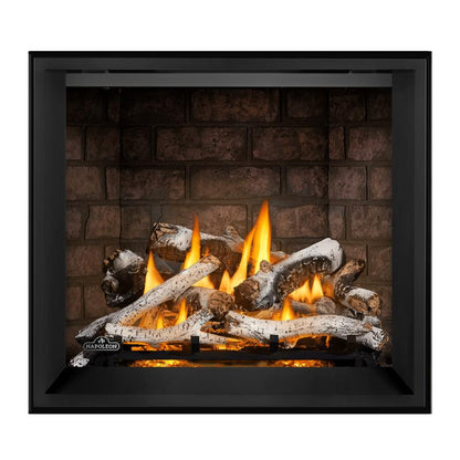 Napoleon Elevation X 36" Direct Vent Gas Fireplace | EX36