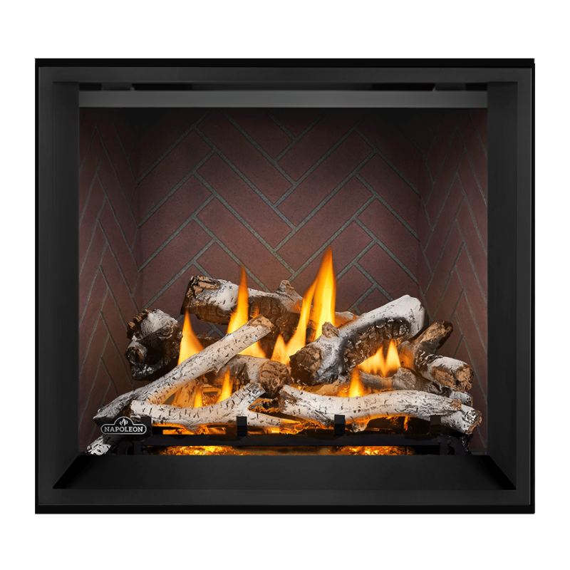 Napoleon Elevation X 36" Direct Vent Gas Fireplace | EX36