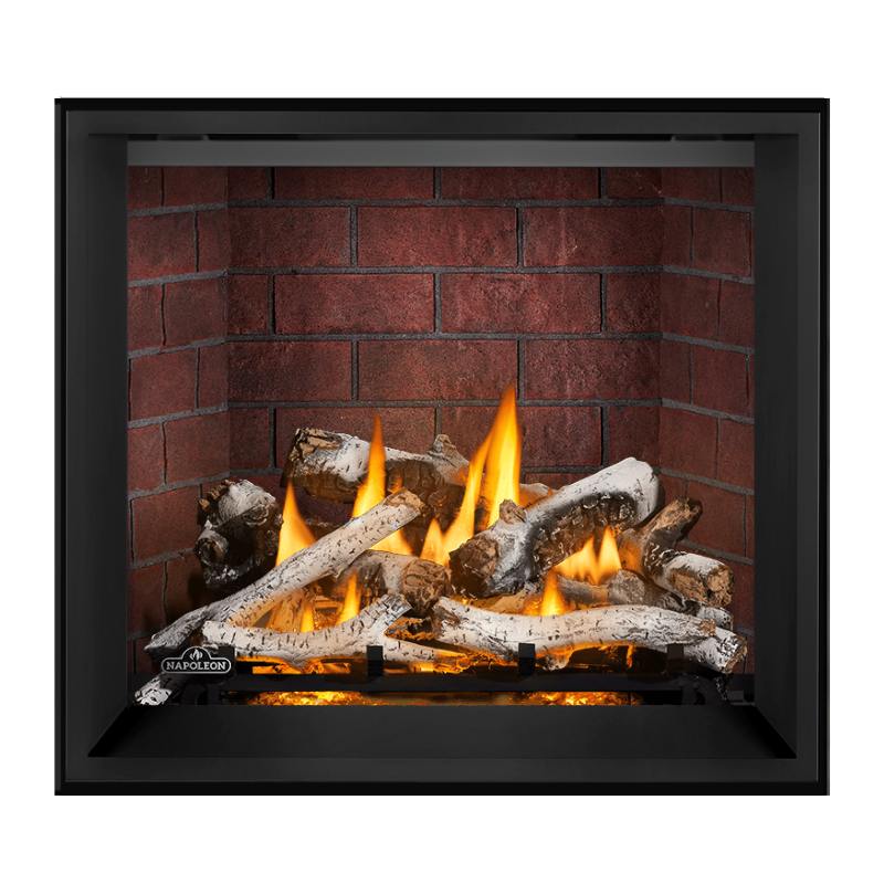 Napoleon Elevation X 36" Direct Vent Gas Fireplace | EX36