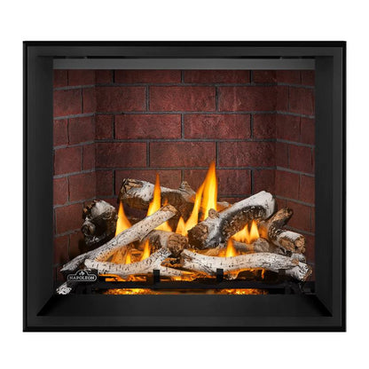 Napoleon Elevation X 36" Direct Vent Gas Fireplace | EX36
