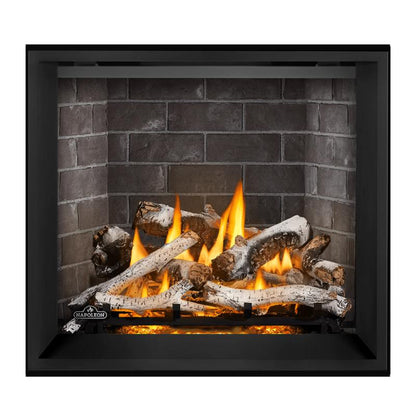 Napoleon Elevation X 36" Direct Vent Gas Fireplace | EX36