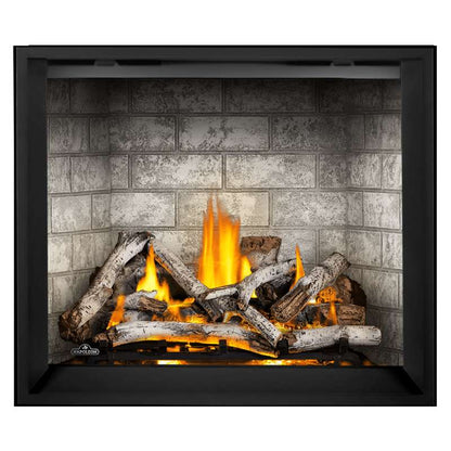 Napoleon Elevation X 42" Direct Vent Gas Fireplace | EX42
